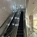 파인더 | 문배동 용산역 피부관리샵 파인더트리 에스테틱 복부관리 후기