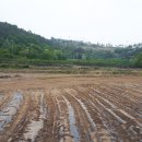 김전1리 경로당 이미지