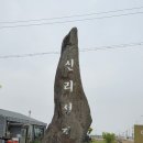135 | 충남 당진가봐야할곳 추천 천주교 성지 합덕성당, 신리성지 방문 후기