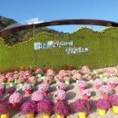 백덕순의 사진여행 10 . 강원 세계산림엑스포 가을꽃 축제 이미지