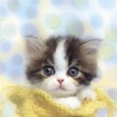 이컴퍼니 네이버블로그