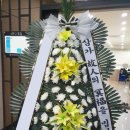 대전화환