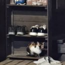 이팝나무 펜션 이미지