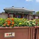 서상동 김수로왕 비릉공영주차장 주변 도로 | 경남 김해가볼만한곳 김해 수로왕릉 수로왕비릉 수로왕릉 능소화 개화