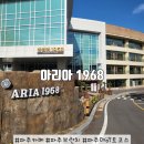 파주로 은행나무길 이미지