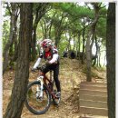 우면산3-18 이미지