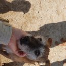 정호경로당 이미지