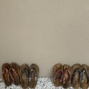 스테이더담 도율 이미지