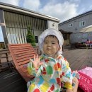 솜니움트리 이미지