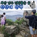 갈맷길(1코스) | 부산 남구 전망좋은 곳 갈맷길 3-1코스 신선대 후기 주차정보