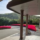 예산미소천사의원 | 오랜만의 골프채, 도고CC에서 다시 시작한 라운딩⛳😂