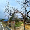 죽마보건진료소 | (전남구례카페) 시골 감성의 분위기가 뿜뿜 풍기는 한옥 카페 무우루