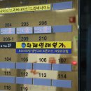 황제명태본가 이미지