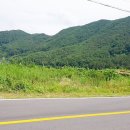 김병석공인중개사사무소 이미지