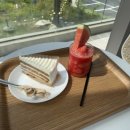 수피아포레스트