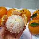 공덕농장 이미지