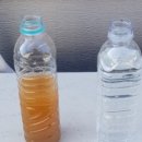 경도세차장 이미지