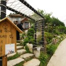 야생화테마펜션 이미지