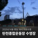 분당 탄천종합운동장 수영장 6월 평일 19시 50m 자유수영