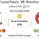 리즈펠리스 이미지