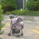 영재필라테스 | 출근하면서 퇴근 생각하는 부지런한 사람 그게 나로 나여요