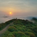 '도깨비 숲' 드러나 한우산 & 동굴법당 이미지