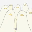 키코레 이미지