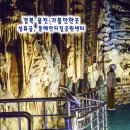 성류굴매표소앞 | 울진 가볼만한곳 추천 성류굴 경북 동해안 지질공원센터