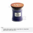 캔들나무 이미지