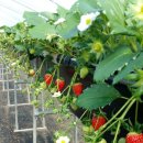 해선농장 이미지