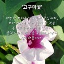 힐링음악 드럼교실 이미지