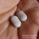 정맥순환개선제 베나센, 고투콜라 고함량 영양제 먹어보기