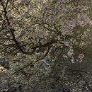 스피드순환운동 | 경찰 공무원 순환식 체력검정 3주차 후기 + 코스 체험 (파울 기준, 개인적으로 느낀 점)