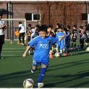 스포츠 아이 수영장 이미지