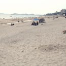 대천해수욕장 야영장 이미지