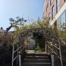 늘포레 | 대부도 예쁜 카페 늘포레, 자연에 숨어있는 카페