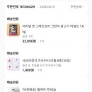 고양이 짜 먹는 유산균 웰케어 데일리 welcare 수의사 추천 내돈내산 구매후기
