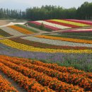 히노데 - 파주시 미래로 369-59 | 히노데