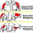 신흥클린 이미지
