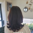 에이치스타일 | 진주미용실 평거동 펌 잘하는 스타일에이치헤어 재방문후기