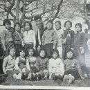 백수초등학교 이미지