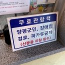 양평군 환경사업소 | 양평 아이랑 가볼만한곳 실내 체험 곤충박물관 후기