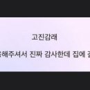 고진감래 이미지