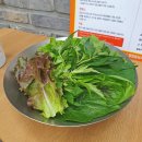 강화철판낙지 | [대전/송촌동] 낙지 맛집 🤎강길도 낙지마을 🍚낙지덮밥 💚쌈 채소 보양식 저속노화식단 추천(아기의자 있음)