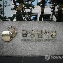 금융감독원