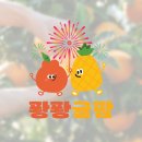 과일담아요 | 손그림로고 제작 후기! 과일로고로 과수원의 매력을 담은 5가지 이야기 🍎🍊🍇