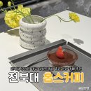 전주 전북대 신상 카페 데이트 공부하기 좋은 홉스커피