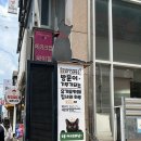 카페집사 - 안산시 단원구 선부광장1로 166 | 강남 놀기 좋은 유기묘 고양이 카페 “집사의 하루” 평일 방문 후기