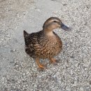 2019-주119 | 11월 1주차