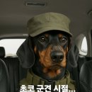 크로스핏헤이 이미지